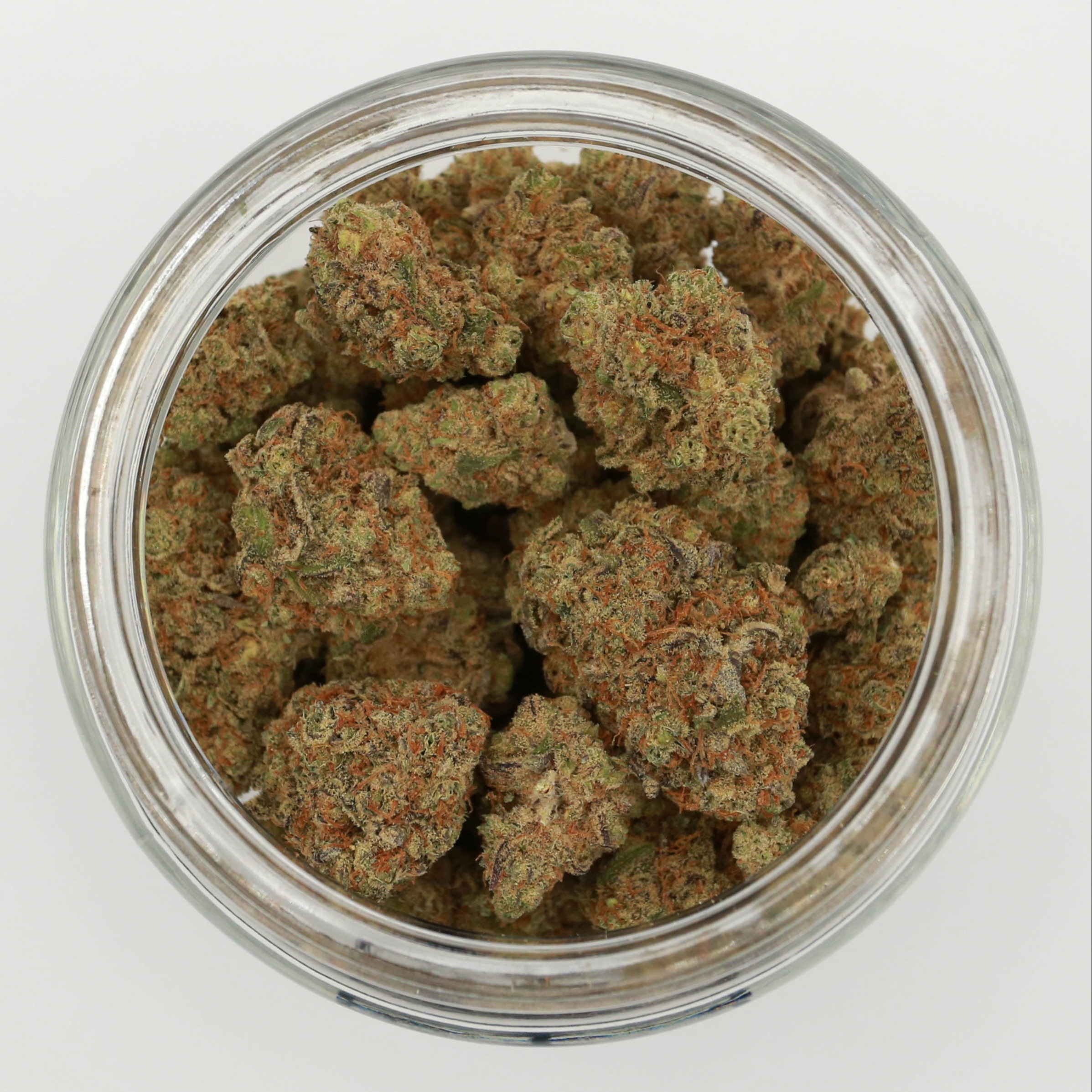 Lemon Meringue by Fidus Family Farms